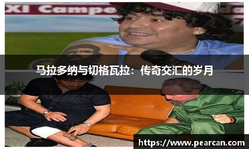 jn江南体育
